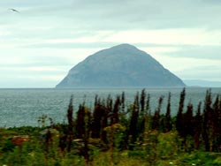 Alisa Craig