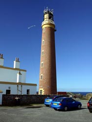 Butt of Lewis