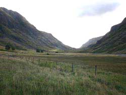 Glencoe / Tal