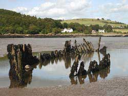 Wrack im Watt